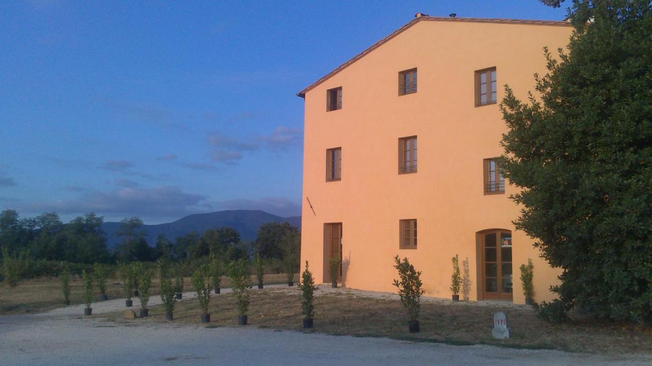 Hostal Badia 阿尔托帕肖 外观 照片